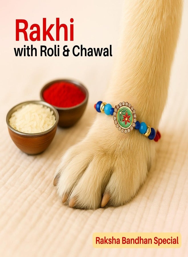 Sage Square Paw Bandhan Rakhi for Dog, Cat & Small Pets | Celebrate Bonds of Love This Raksha Bandhan | Cute Rakhi with Beads, Decorative Threads | Gift for Pet Lovers & Furry Companions (Type 1) - Image 3